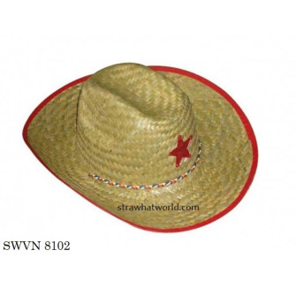 Men's Hat SWVN 8102